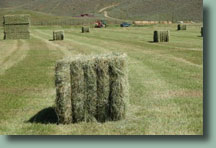 Hay for sale, just outside beautiful Steamboat Springs, Colorado
