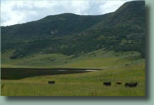 High Tide Ranch is a working ranch located just outside beautiful Steamboat Springs, Colorado