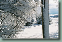 Rabbit Ears Pass is the gateway to Steamboat Springs, Colorado